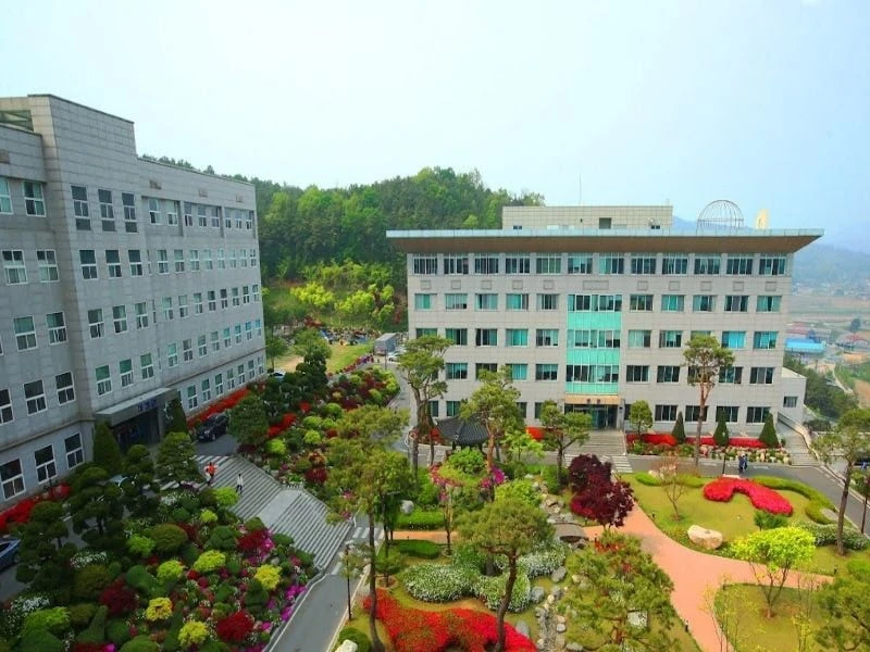 Đại học Seojeong -Lựa chọn tiết kiệm cho hành trình du học Hàn