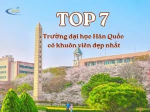 Top 7 trường đại học hàn quốc có khuôn viên đẹp nhất