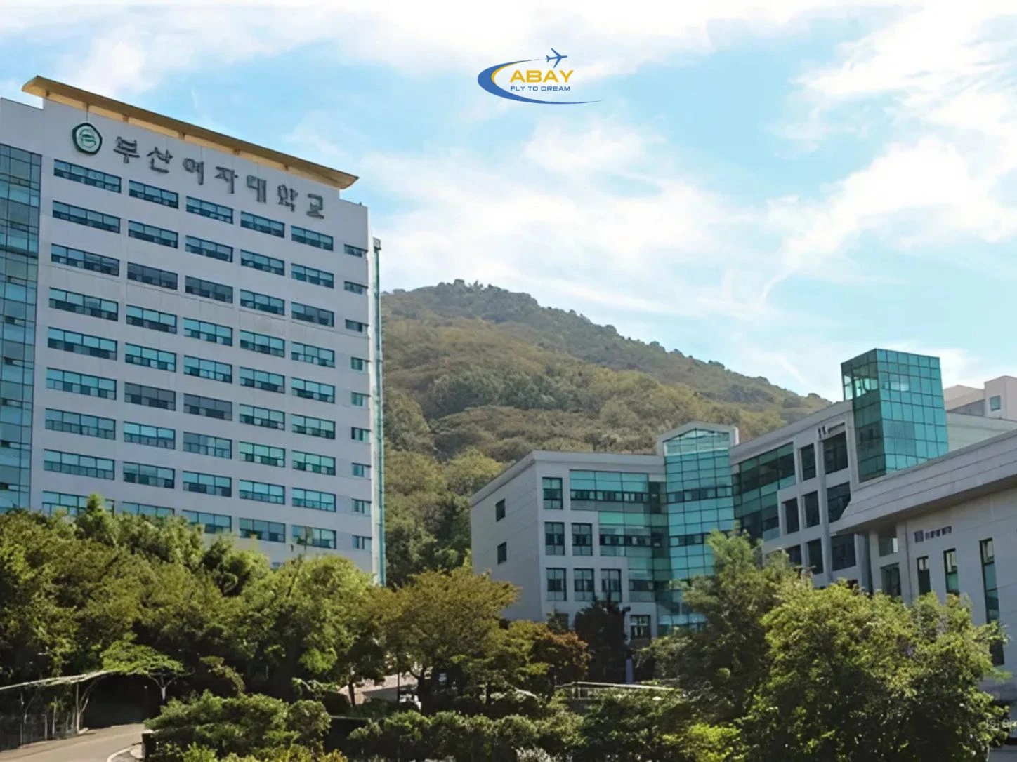 Top 3 Trường Cao đẳng nổi bật tại Busan dành cho du học sinh Việt